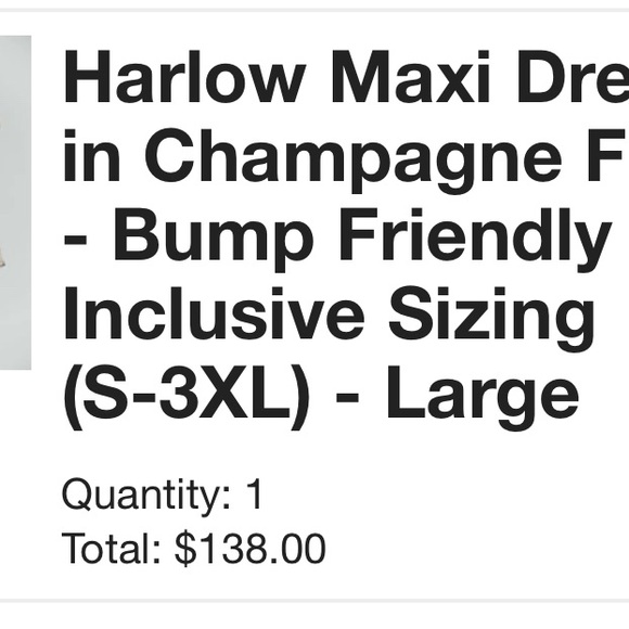 Worth Collective Harlow Maxi Dress - Champagne Floral - Bump Friendly - Picture 3 of 3